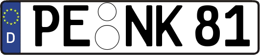 PE-NK81