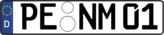 PE-NM01