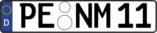 PE-NM11