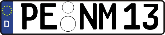 PE-NM13