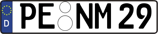 PE-NM29