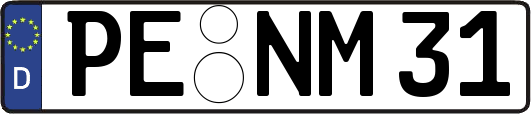PE-NM31