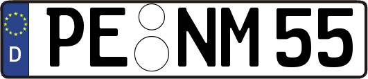 PE-NM55
