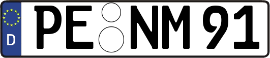 PE-NM91