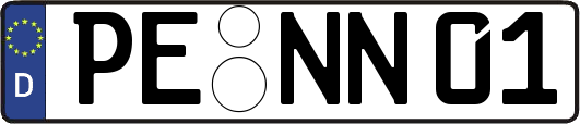 PE-NN01