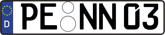 PE-NN03