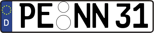 PE-NN31