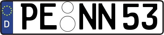 PE-NN53