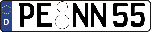 PE-NN55