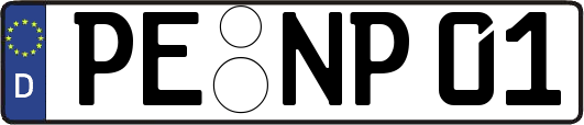 PE-NP01