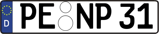 PE-NP31