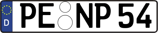 PE-NP54