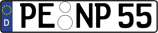 PE-NP55