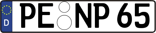 PE-NP65