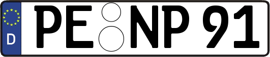 PE-NP91