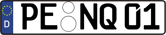 PE-NQ01