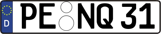 PE-NQ31