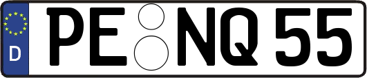 PE-NQ55