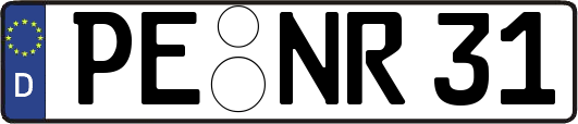 PE-NR31