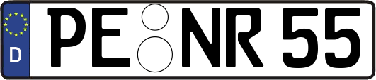 PE-NR55