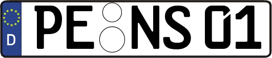 PE-NS01