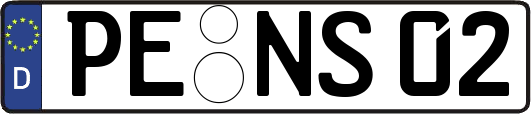 PE-NS02