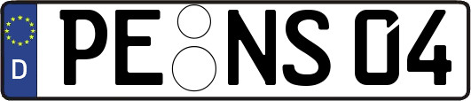 PE-NS04
