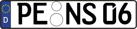 PE-NS06