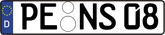 PE-NS08
