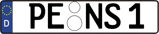 PE-NS1
