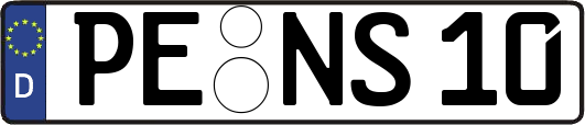 PE-NS10