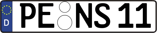 PE-NS11