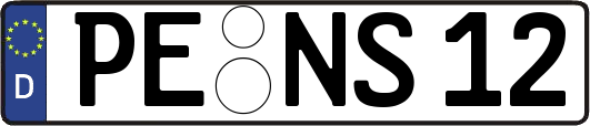 PE-NS12