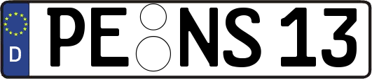 PE-NS13