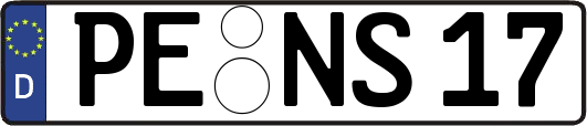 PE-NS17