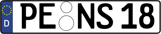 PE-NS18
