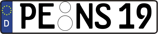 PE-NS19