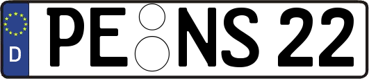 PE-NS22