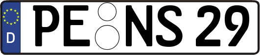 PE-NS29