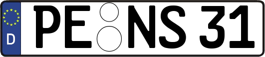 PE-NS31