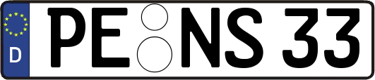 PE-NS33