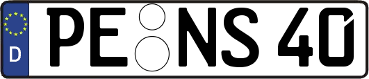 PE-NS40