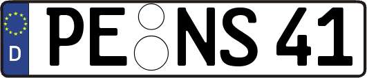 PE-NS41
