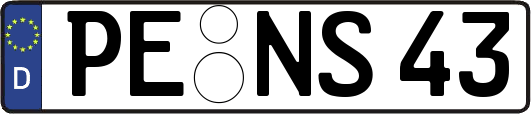 PE-NS43
