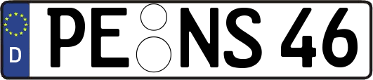 PE-NS46