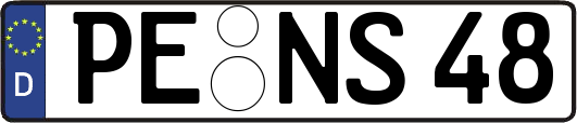 PE-NS48