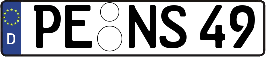 PE-NS49