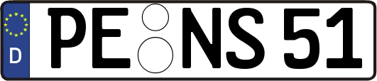 PE-NS51