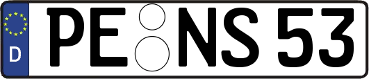 PE-NS53