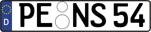 PE-NS54